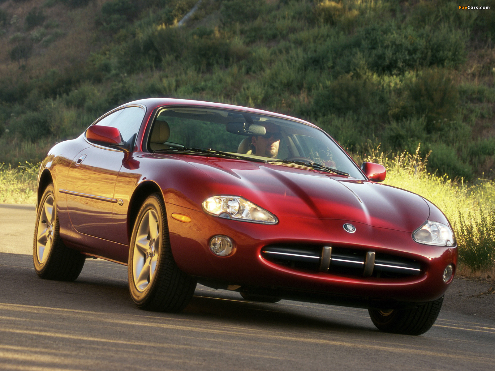 Jaguar XK8 Coupe 1996–2002 images (1600 x 1200)