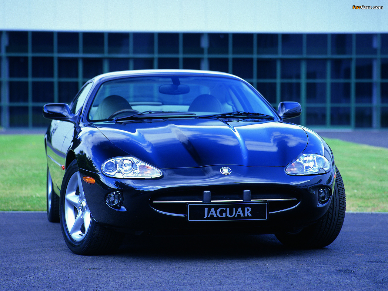 Jaguar XK8 Coupe 1996–2002 photos (1280 x 960)