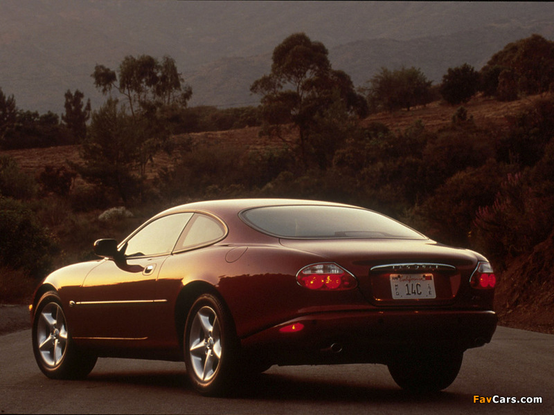 Jaguar XK8 Coupe 1996–2002 pictures (800 x 600)