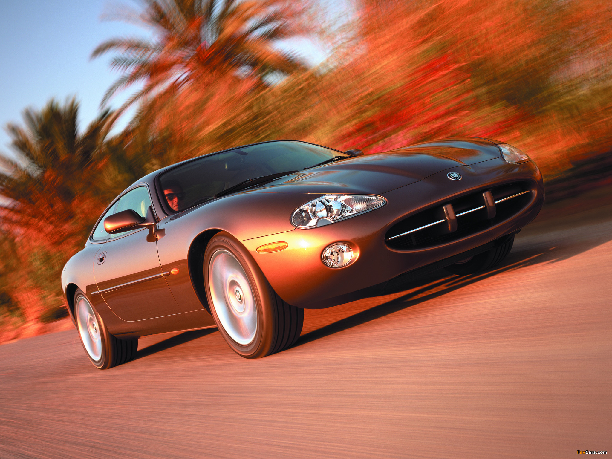 Jaguar XK8 Coupe 1996–2002 pictures (2048 x 1536)