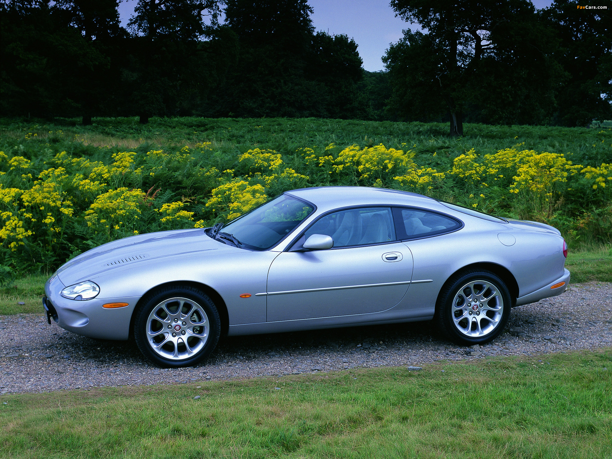 Jaguar XKR Coupe 1998–2002 pictures (2048 x 1536)