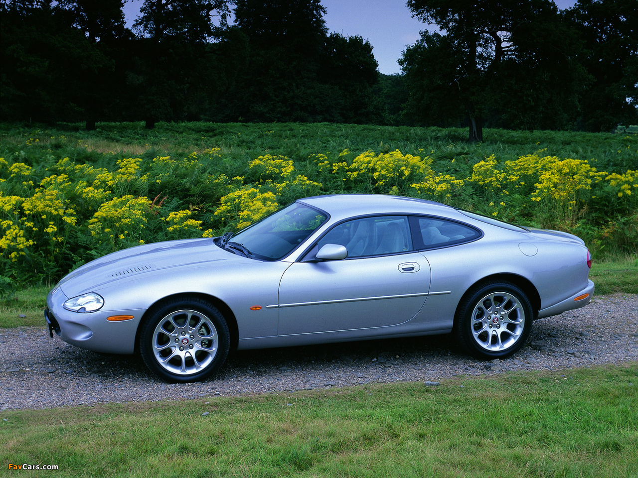 Jaguar XKR Coupe 1998–2002 pictures (1280 x 960)