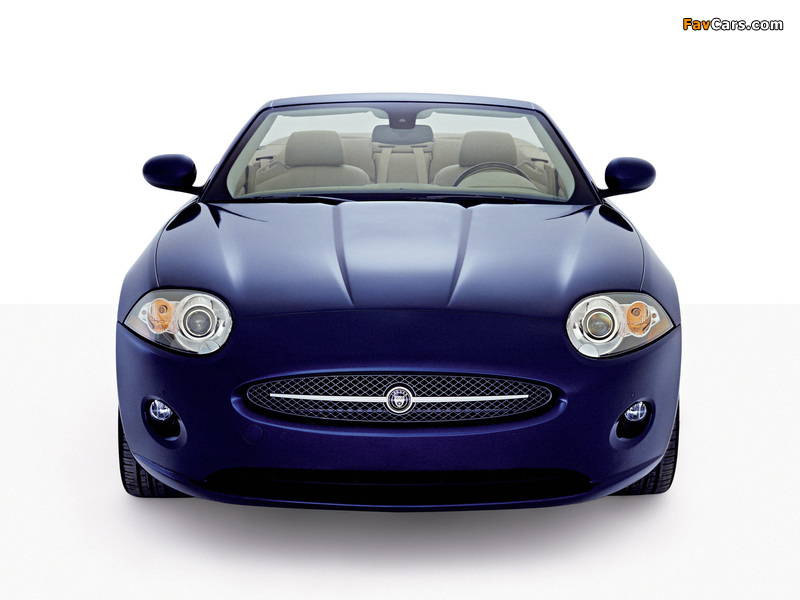 Jaguar XK Convertible 2006–09 pictures (800 x 600)