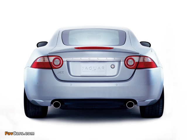Jaguar XK Coupe 2006–09 pictures (640 x 480)