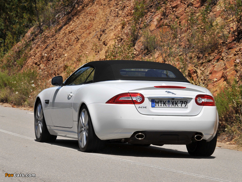 Jaguar XK Convertible 2011 pictures (800 x 600)