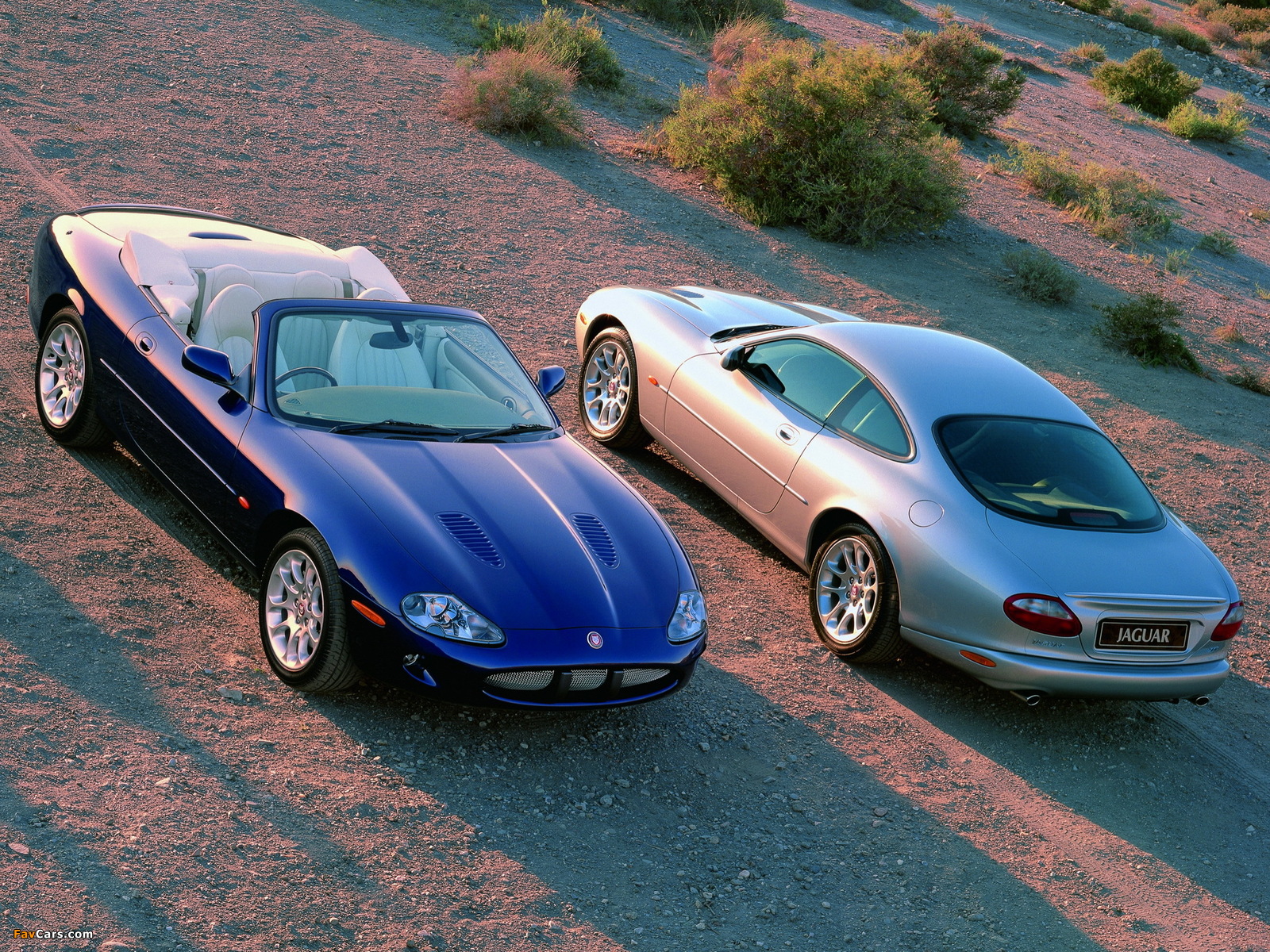 Jaguar XK photos (1600 x 1200)