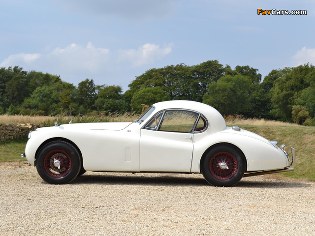 Photos of Jaguar XK120 Fixed Head Coupe UK-spec 1951–54 (640 x 480)