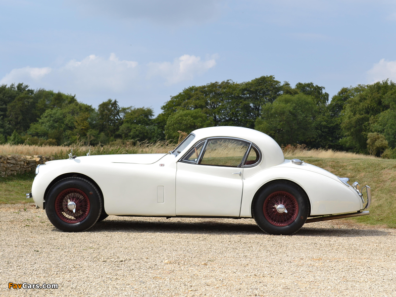 Photos of Jaguar XK120 Fixed Head Coupe UK-spec 1951–54 (800 x 600)