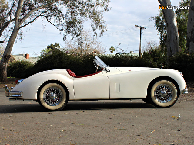 Photos of Jaguar XK140 Roadster UK-spec 1954–57 (640 x 480)