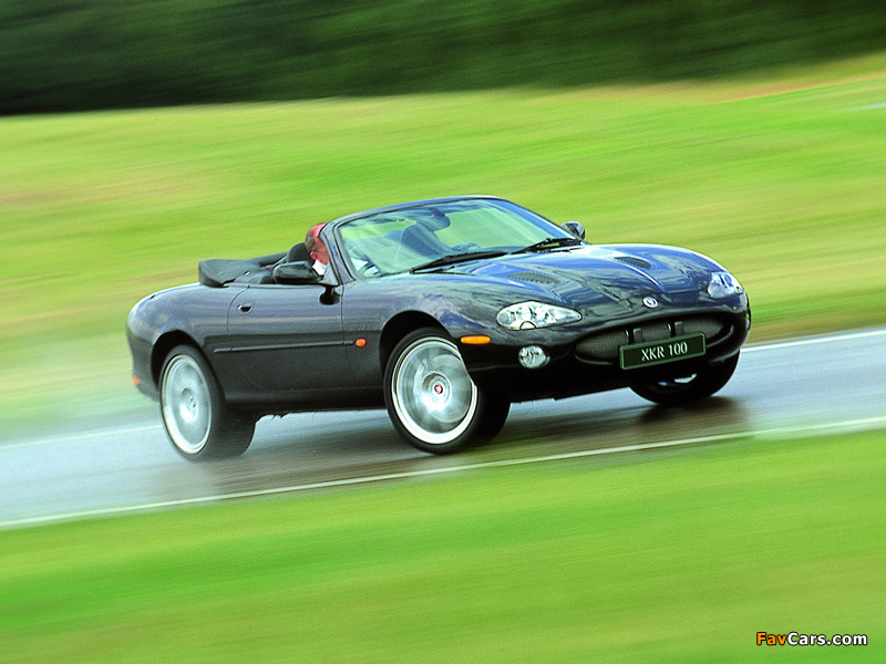 Photos of Jaguar XKR 100 Convertible 2002 (800 x 600)