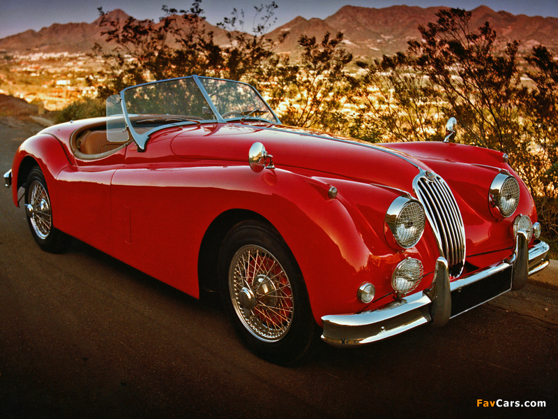 Pictures of Jaguar XK140 Roadster 1954–57 (800 x 600)