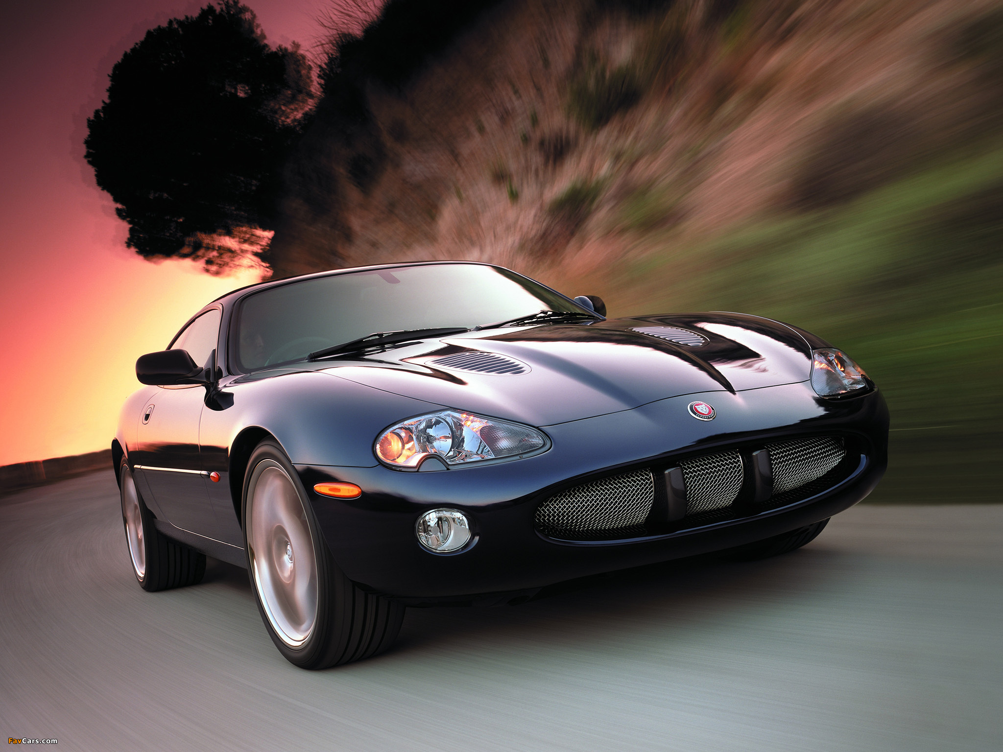 Pictures of Jaguar XKR Coupe 2003–04 (2048 x 1536)