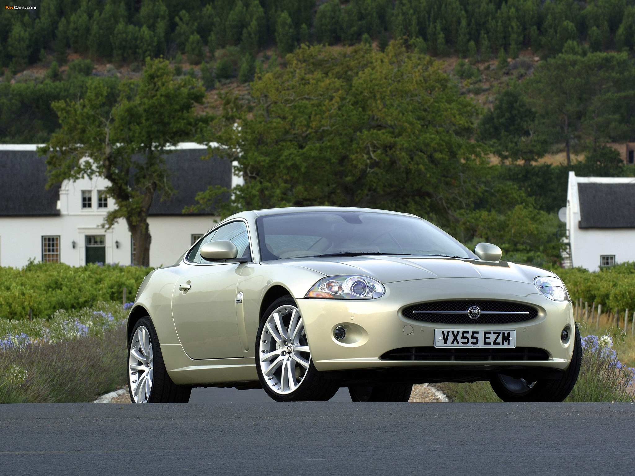 Pictures of Jaguar XK Coupe UK-spec 2006–09 (2048 x 1536)