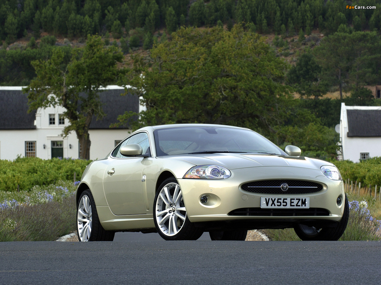 Pictures of Jaguar XK Coupe UK-spec 2006–09 (1280 x 960)