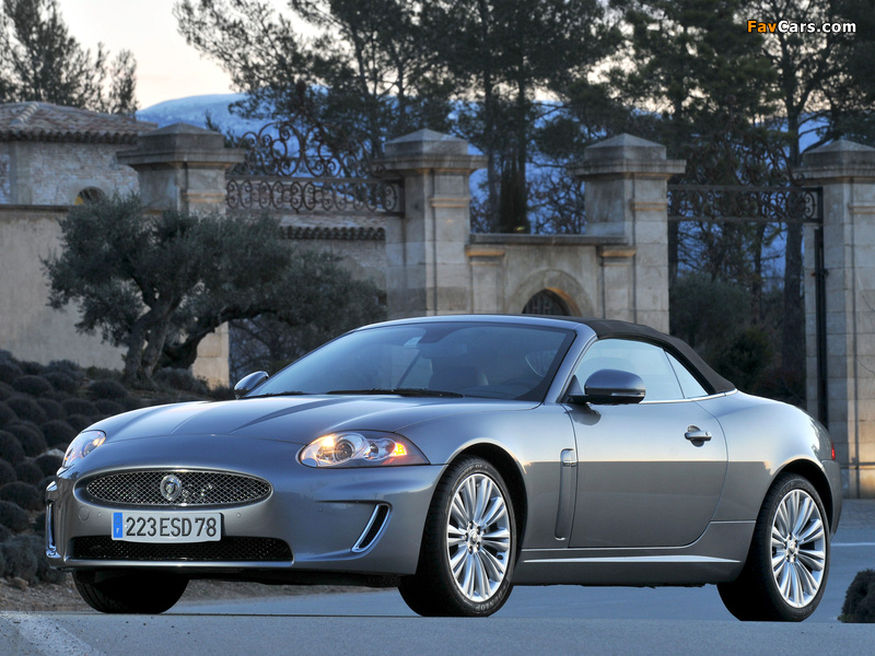 Pictures of Jaguar XK Convertible 2009–11 (800 x 600)