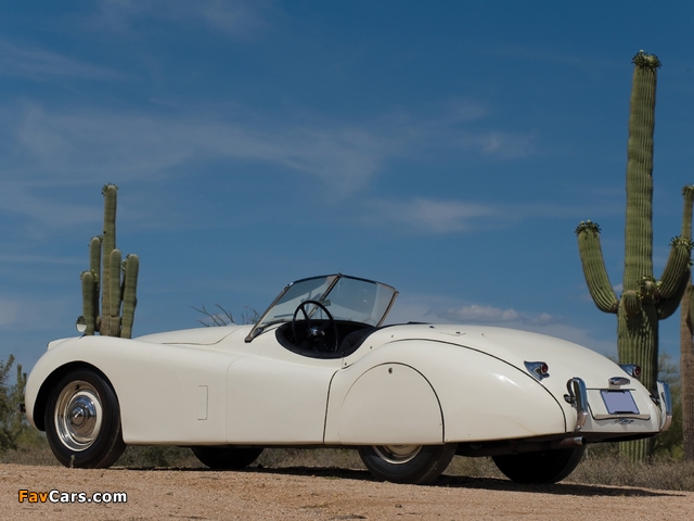 Jaguar XK120 Roadster 1949–54 wallpapers (640 x 480)