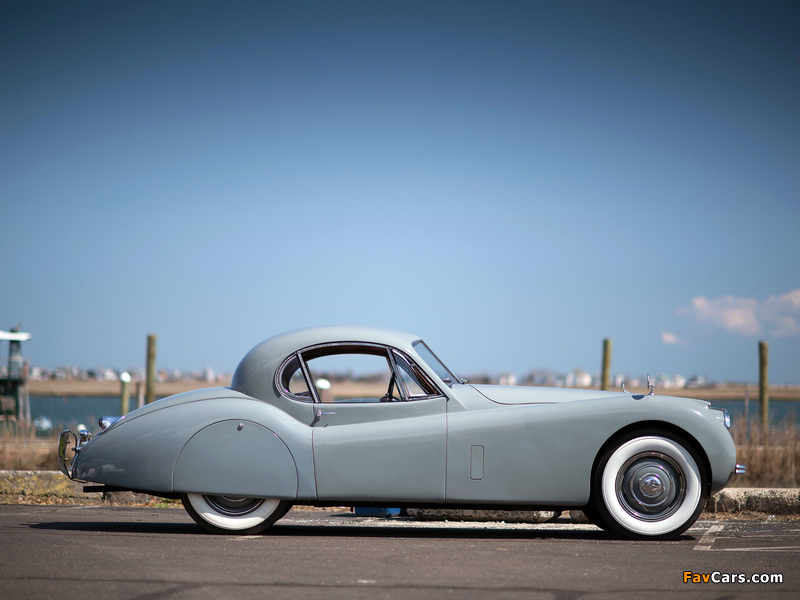 Jaguar XK120 Fixed Head Coupe 1951–54 wallpapers (800 x 600)