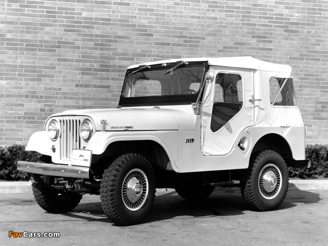 Jeep Tuxedo Park Mark IV 1966 photos (640 x 480)