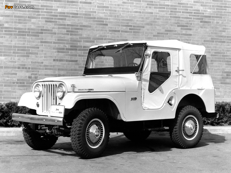 Jeep Tuxedo Park Mark IV 1966 photos (800 x 600)