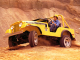 Jeep CJ-5 Renegade II 1971 pictures