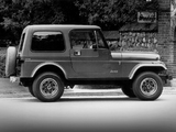 Jeep CJ-7 Limited 1982 photos