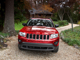 Images of Jeep Compass 2010