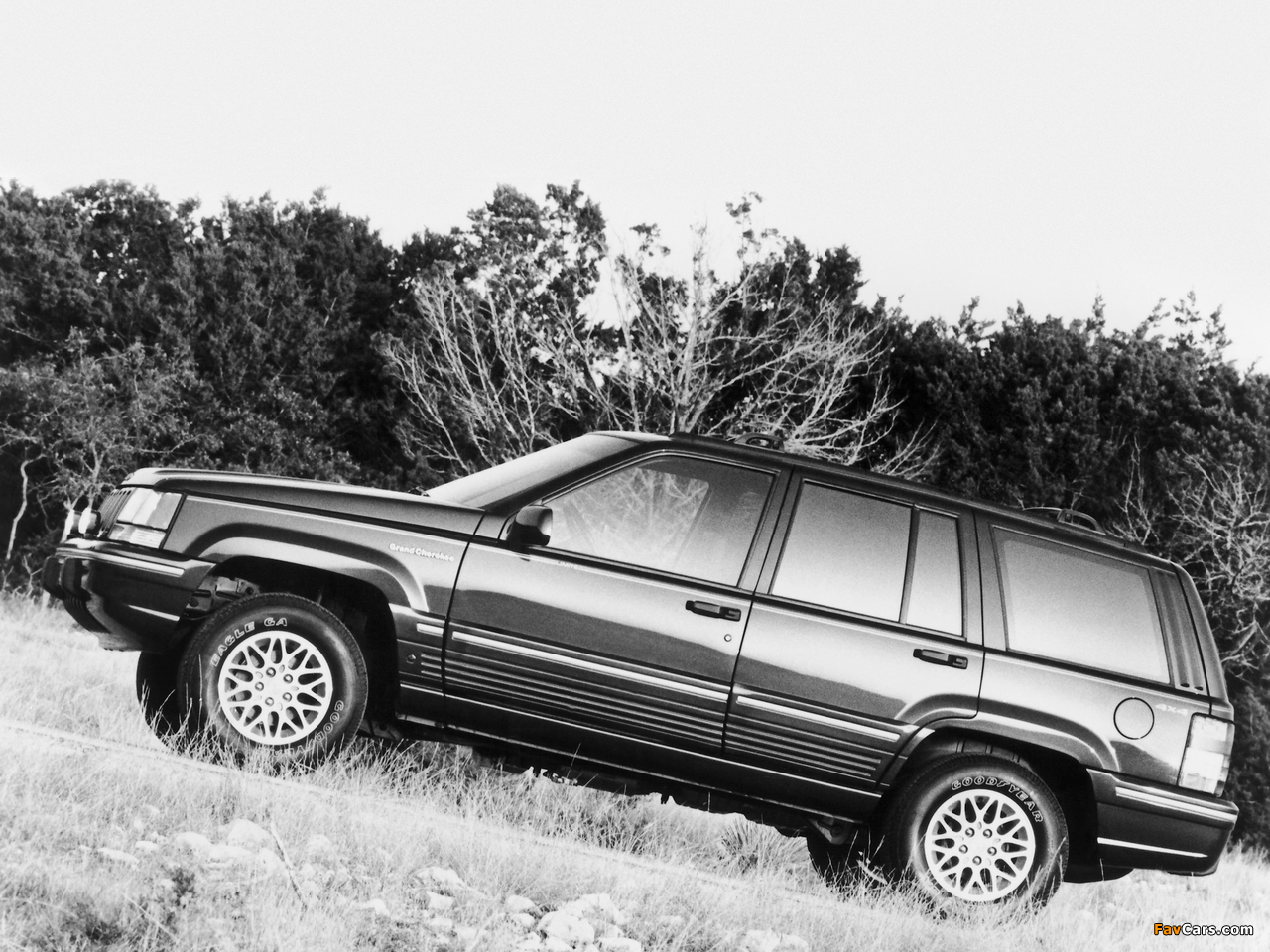 Jeep Grand Cherokee Limited (ZJ) 1993–96 photos (1280 x 960)