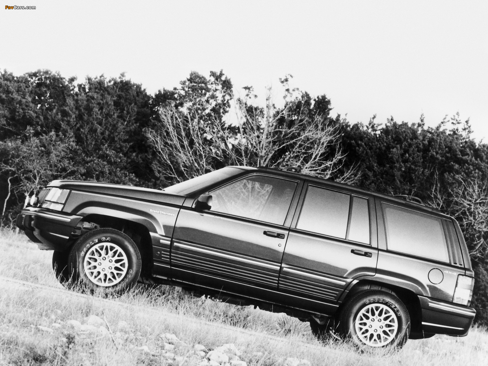 Jeep Grand Cherokee Limited (ZJ) 1993–96 photos (1600 x 1200)