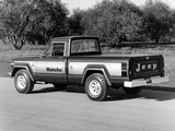 Photos of Jeep J10 Honcho 1976–78