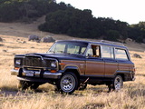 Jeep Wagoneer Limited 1982–83 pictures