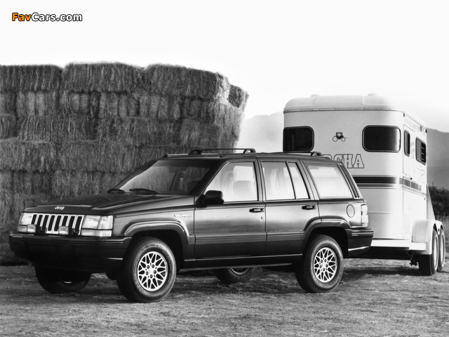 Jeep Grand Wagoneer (ZJ) 1993 pictures (640 x 480)