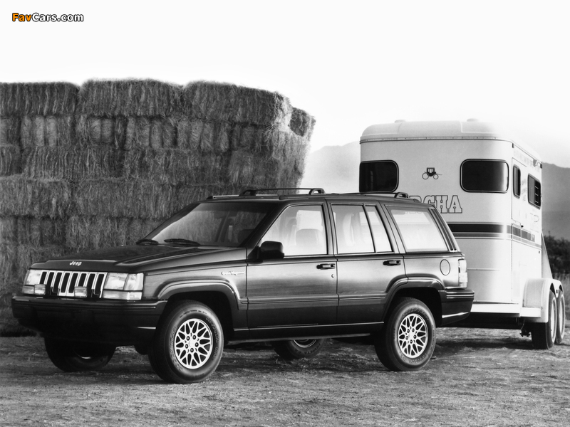 Jeep Grand Wagoneer (ZJ) 1993 pictures (800 x 600)