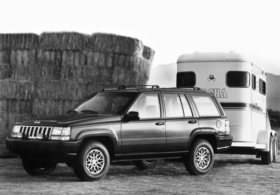 Jeep Grand Wagoneer (ZJ) 1993 pictures