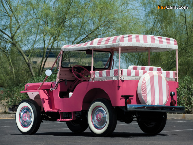 Willys Jeep Surrey (DJ-3A) 1959–64 pictures (640 x 480)