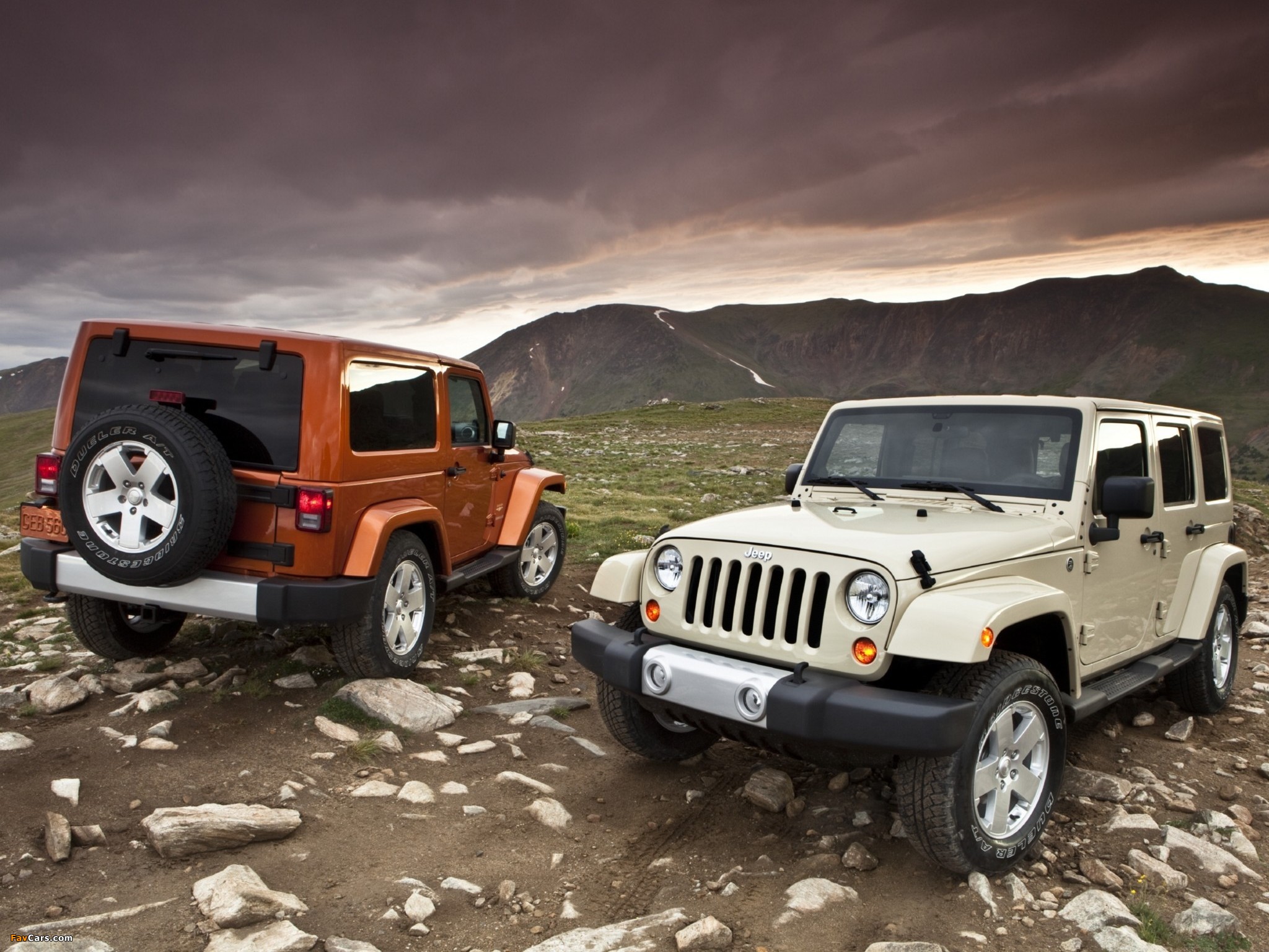 Images of Jeep Wrangler (2048 x 1536)