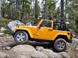 Photos of Jeep Wrangler Rubicon (JK) 2010