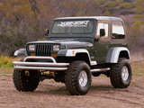 Pictures of Xenon Jeep Wrangler (YJ) 1987–95