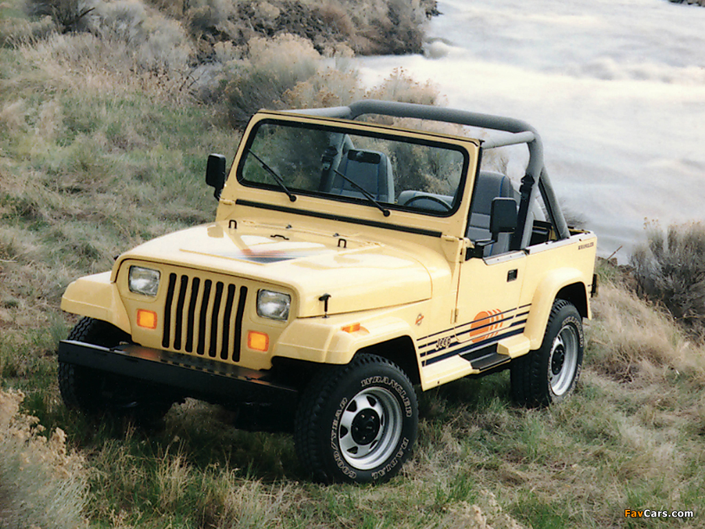 Pictures of Jeep Wrangler Islander (YJ) 1988–93 (1024 x 768)