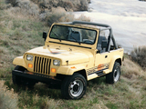 Pictures of Jeep Wrangler Islander (YJ) 1988–93