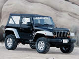 Pictures of Xenon Jeep Wrangler WW (TJ) 1997–2006