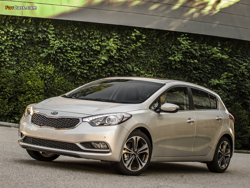 Images of Kia Cerato Hatchback 2013 (800 x 600)