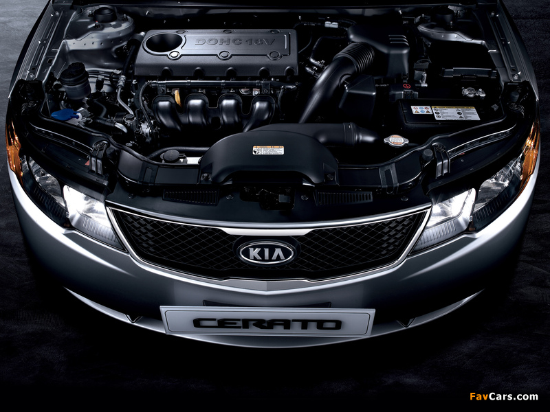 Kia Cerato Sedan (TD) 2009 photos (800 x 600)