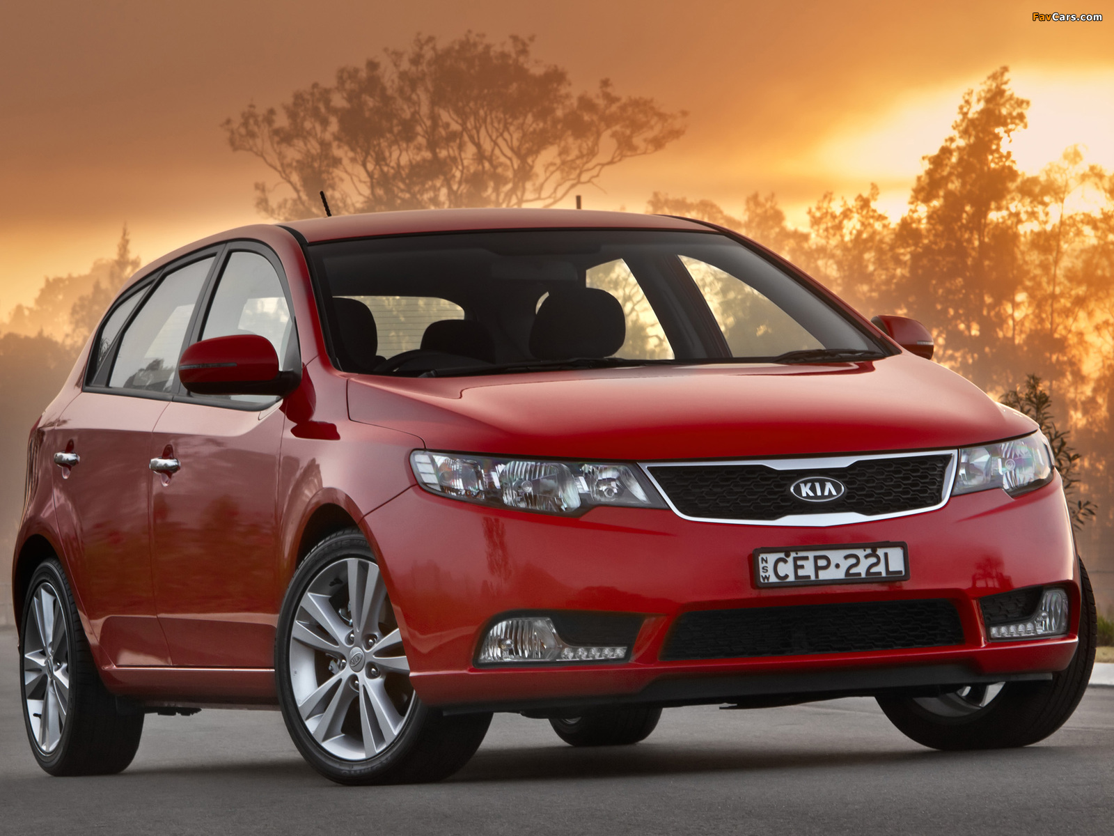 Kia Cerato Hatchback AU-spec (TD) 2012–13 photos (1600 x 1200)