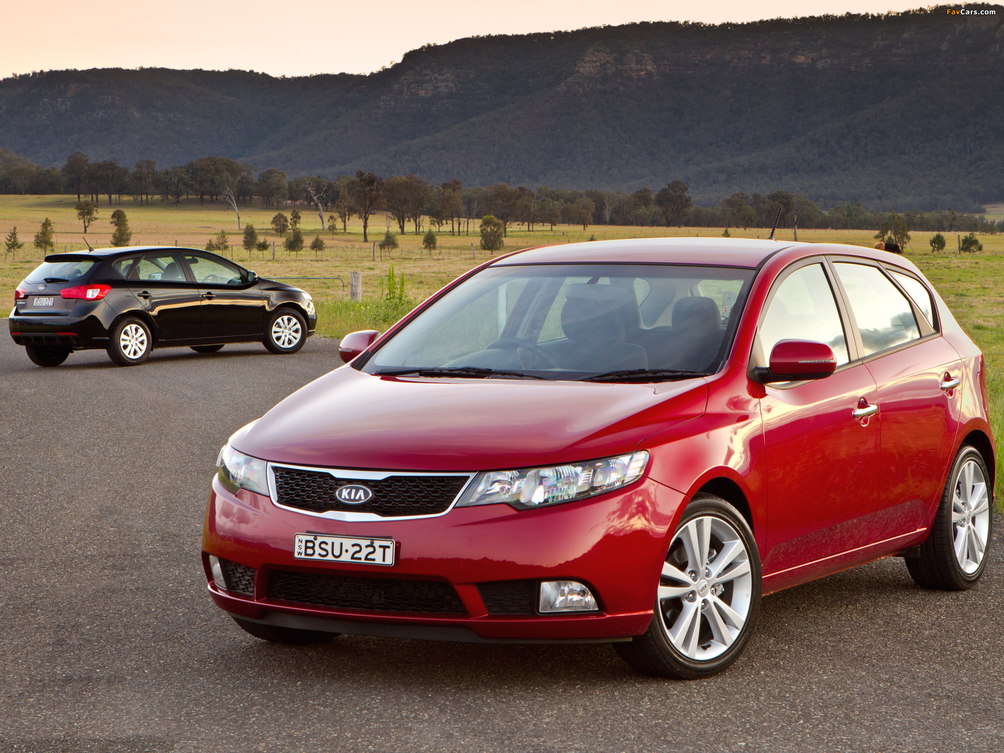 Photos of Kia Cerato Hatchback AU-spec (TD) 2010–12 (2048 x 1536)