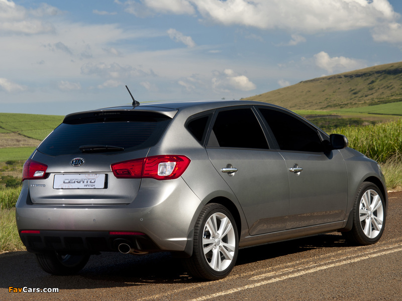 Kia Cerato Hatchback ZA-spec (TD) 2010–13 wallpapers (800 x 600)