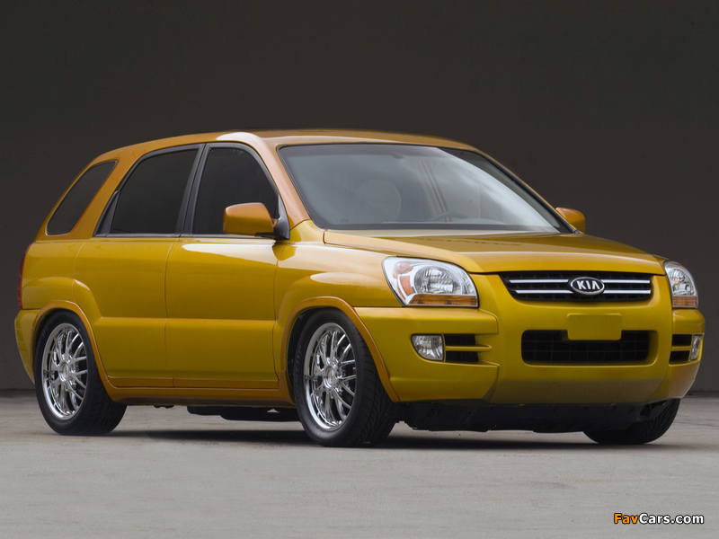 Pictures of Kia Sportage Solid Gold (KM) 2005 (800 x 600)