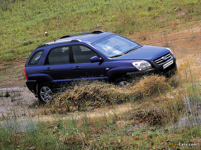Kia Sportage US-spec (KM) 2004–08 wallpapers (800 x 600)