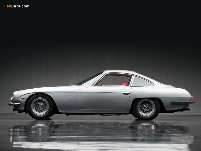 Images of Lamborghini 350 GT 1964–66 (800 x 600)