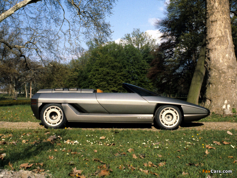 Lamborghini Athon 1980 pictures (800 x 600)
