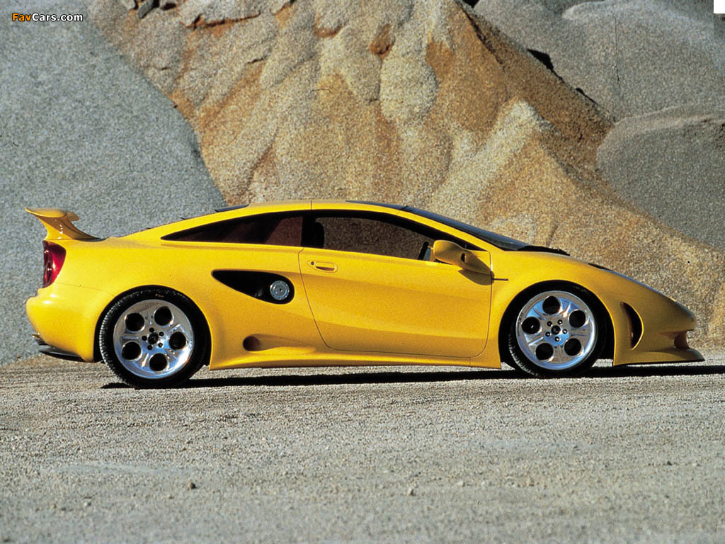 Lamborghini Cala 1995 photos (1024 x 768)